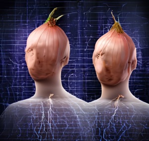 dark web links adult