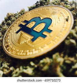 bitcoin cash darknet markets