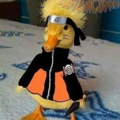 jpg